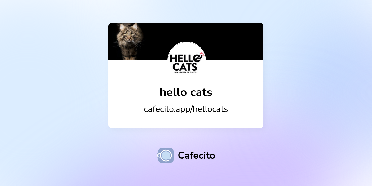 hello cats | Cafecito